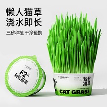 F2�����p��؈��ˮ�౭�ԷN���r؈��������؈������ë���úв�