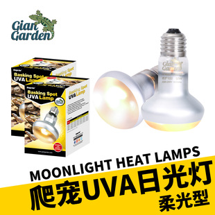 Giangarden Giant Reptile Uva Heating Lamp Reptile Uva Chameleon Bearded Dragon Lizard Professional Reptile Equipment