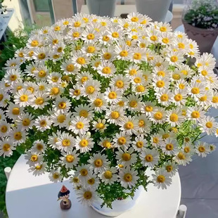 ���N��С�r���׻�������̫ꖻ��҃����̨ͥԺ���տ����տ��N��