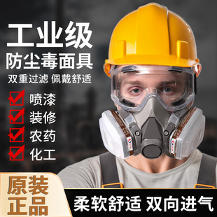 Gas Mask Full Face Paint Chemical Gas Mask Dust-proof and Poisoned Industrial Dust Special Goggles Protection