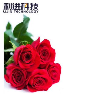 ��ζ΢�z��  ����΢�z�Ҽӹ���ζ���ӄ� ��ζ�q�� ���ㄩ