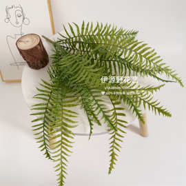 仿真绿植仿真花波斯叶铁树叶波斯草蕨类植物植物墙面配材假花假树