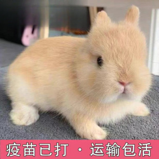 С���ӻ���٪�����L��������С�͹������m�����ò豭�ü��B������