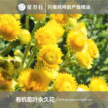 苞叶永久花精油马达加斯加产地单方香薰芳疗原料批发天然舒缓肌肤