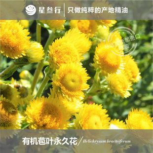 ���~���û������R�_��˹�Ӯa�؆η���޹����ԭ�����l��Ȼ�澏���w