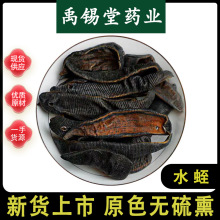 水蛭中药材批发正品新货清水水蛭吊干金边水蛭马鳖蚂蟥可免费磨粉
