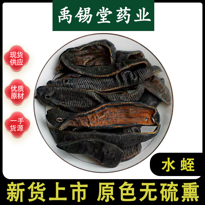 水蛭中药材批发正品新货清水水蛭吊干金边水蛭马鳖蚂蟥可免费磨粉