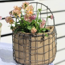 �Fˇ���@�В��h�F������ʽ���@�@�ַNֲ�����F�@�W����ֱ����l