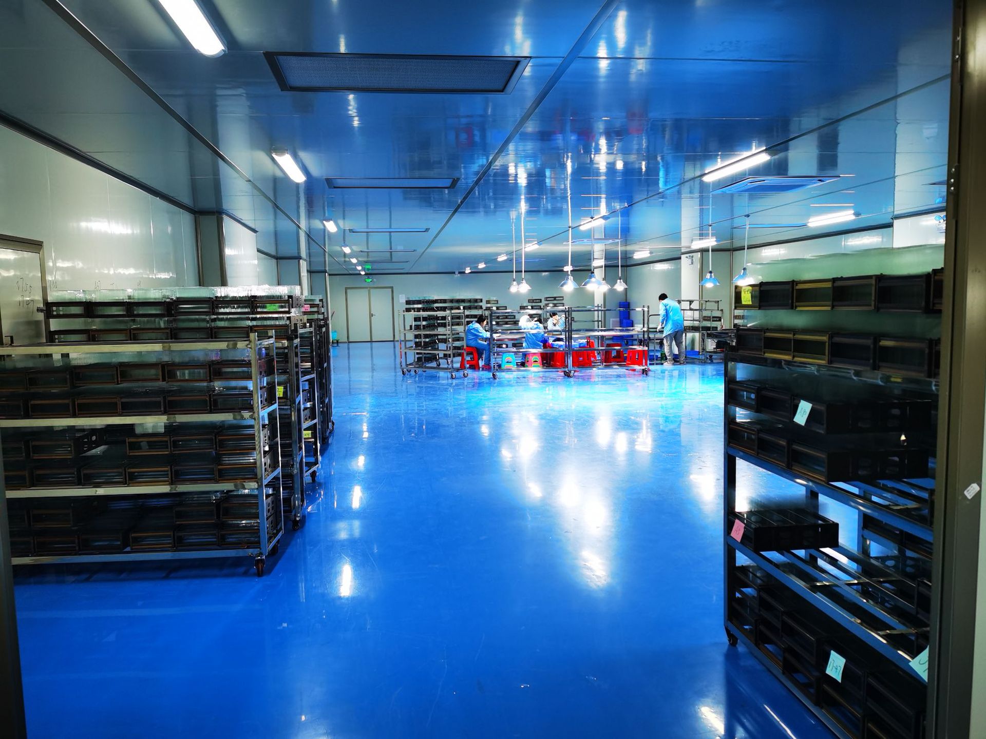 5519dbbba1b8ffbf38063bcd2d13fa