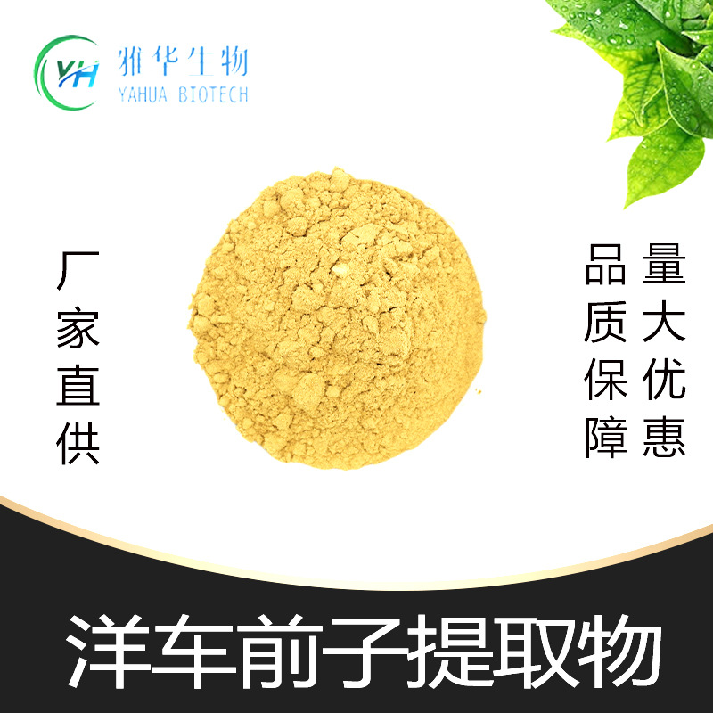 洋车前子提取物10:1 雅华生物 洋车前子提取物 车前子原料粉 现货