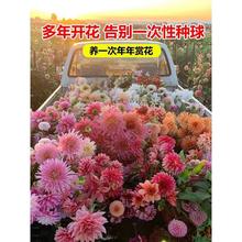 NNӵعϻļ_șĵ҃ͺֲ