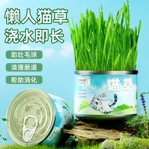 Cat Grass Canned Headache Lazy Cat Grass Planting Kit Cat Snack Hairball Cat Green Plant Pet Supplies