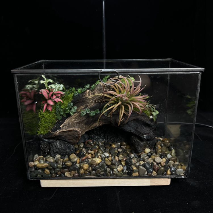 d7233a8d650e611ef09e2bc8db9346