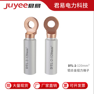 Dtl-2-120Mm² Copper-Aluminum Transition Terminal Block Dtl2 Copper-Aluminum Lug Factory Direct Sales