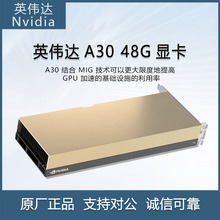 Ӣ���_��NVIDIA��Tesla A30 24G AI�˹����ܷ��������I�\���@��