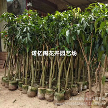 â������޽ӽ��â�t�F�������ļ�â���������ش�â���箔��Y��