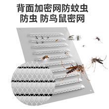 �F؛������~�����L�Ś������͸��ɢ��ͨ�L���w��Ű��~���L��