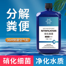 硝化细菌溶液鱼缸鱼用活菌生态缸乌龟用水族水质稳定剂净水剂厂家