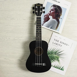 乐器配件;弹拨类乐器;乐器箱包