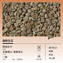 咖啡豆;咖啡生豆;配套器具