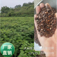 ���l���ƹ�ľ��С��ľ�y�Ϛg�N�ӻ�ɽ�G�� �е���·߅�Nֲ�ֹ��N