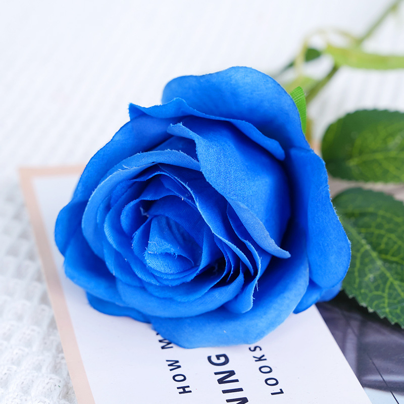 Single sunshine rose-dark blue