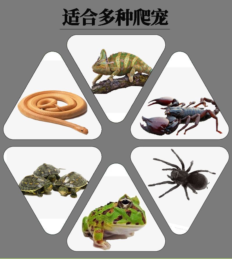 397a7339-e1d7-4ab6-8c22-5ee59143c90c.jpe