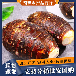 �V���������^���r���]�F�ڮa��ֱ�l��������������^һ�����l