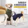 两用升级安抚情绪夹克