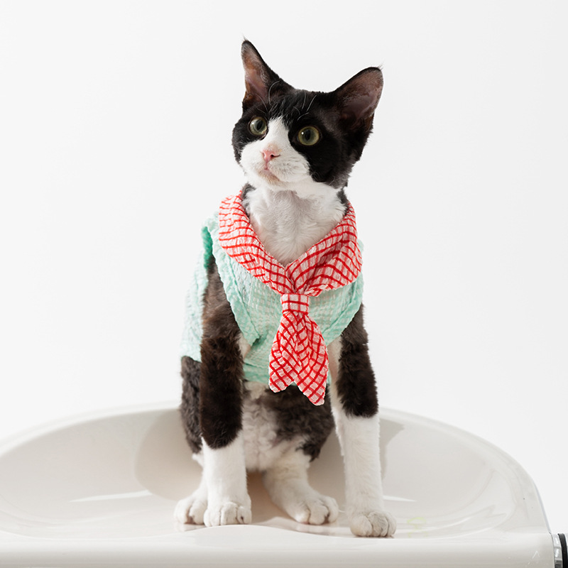 Primavera y verano de gatos, chaleco de corbata de burbuja, camiseta de gato, ropa especial para gatos, ropa para mascotas