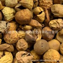 中药材500g颠茄果番鬼茄癫茄果颠茄子正品野生无硫干货散装批发