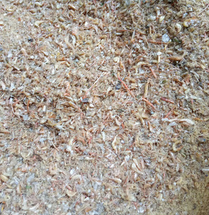 Dried Fish Machine Crushed Shrimp Dried Crushed Powder Turtle Feed Fish Bait Fish Feed Fishing Bait Fish Meal Shrimp Meal Turtle Food