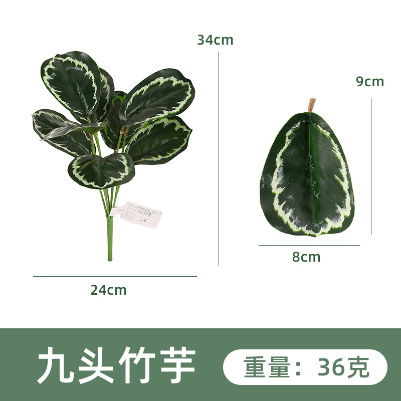 YH1265-300-9 아홉 머리 화살 뿌리 2 #
