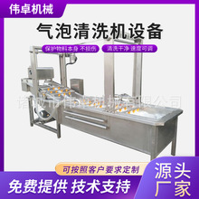 供应荔枝农药残留清洗机 预制菜清洗设备 葡萄全自动气泡清洗机