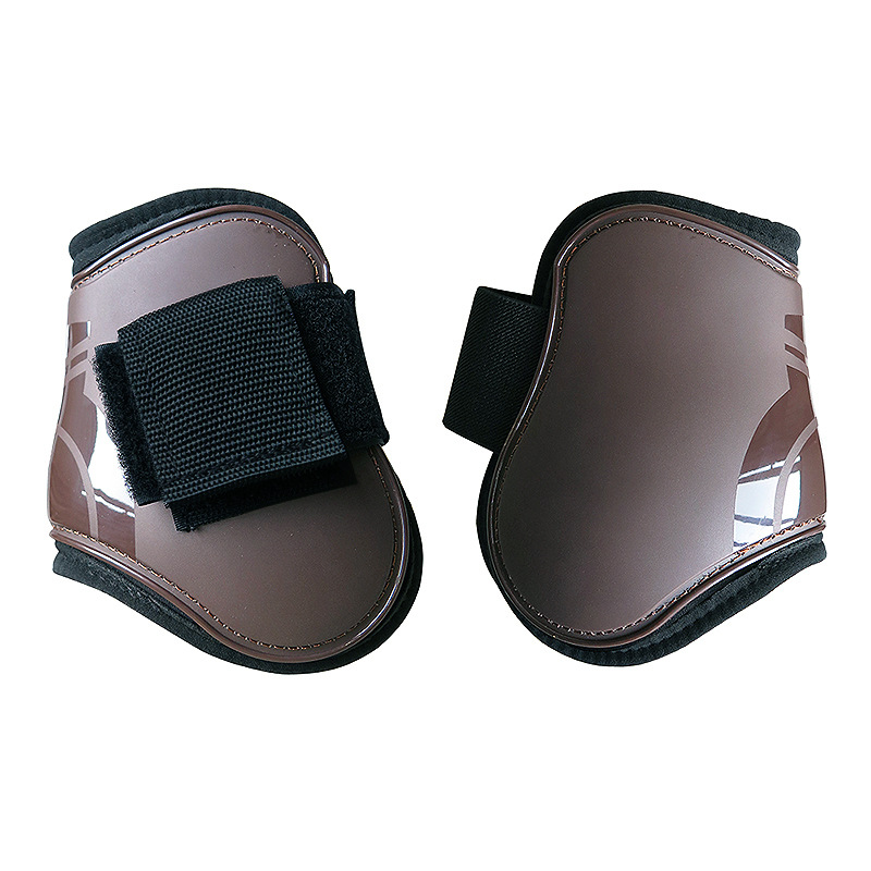 棕后.jpg?x-oss-process=image/format,png