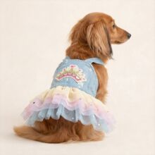 PETCIRCLE����С��؈���·��ɐ�С��Ȯ�����¿�ʺ�ʹڼ�ȹ