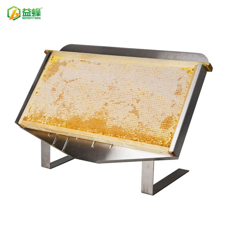 Заводская поставка из нержавеющей стали Медовая пластина Гнездо Селезенка Полка Гнездо Селезенка Cut Медовая пластина