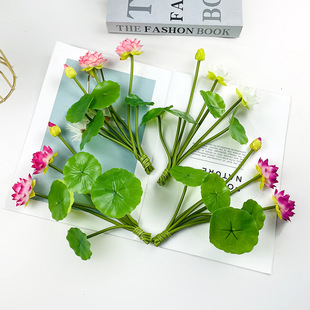 ��������ɻ���֧ɏ���[���Ƶ�ܛ�b��ˇ��ʽ�U����߼ҾӔzӰ�ٻ�