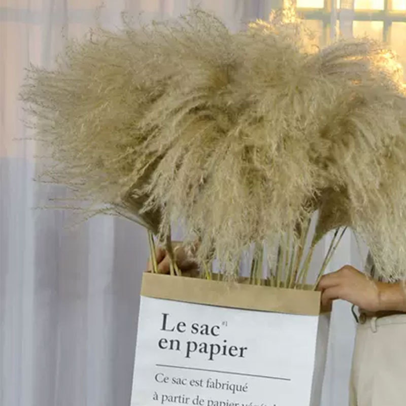 Dried Reed Flowers, Pampas Grass Bouquets, Home and Cafe Decor, Photography Props, Straw-Woven Artificial Flowers