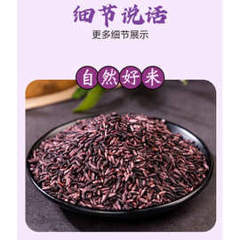 云南紫米商用新米紫糯米全胚芽大包装家用批发烘焙专用