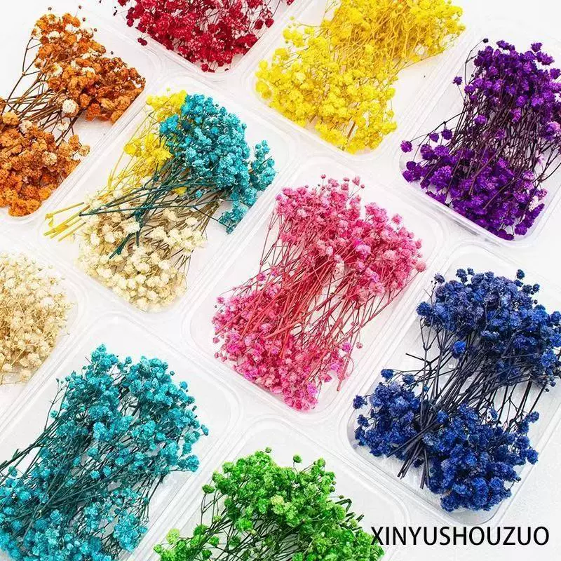 满天星永生花真花干花束手工diy 跨进热销 盒装干花 云南工厂直销