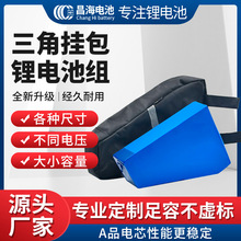 36V48V20AH늄�܇�����Β���늳�ɽ��܇�M��늳ؽM������