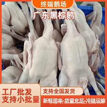 �V�|���h�����Z���r�F�����Z�Ƙǟ��D��͏d���Z�F�Z����ă����l