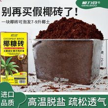 Ҭ�u�I�B��ͨ����Ó�}�N���Gֲ�������ԉ��sҬ���u�������ݰl��K