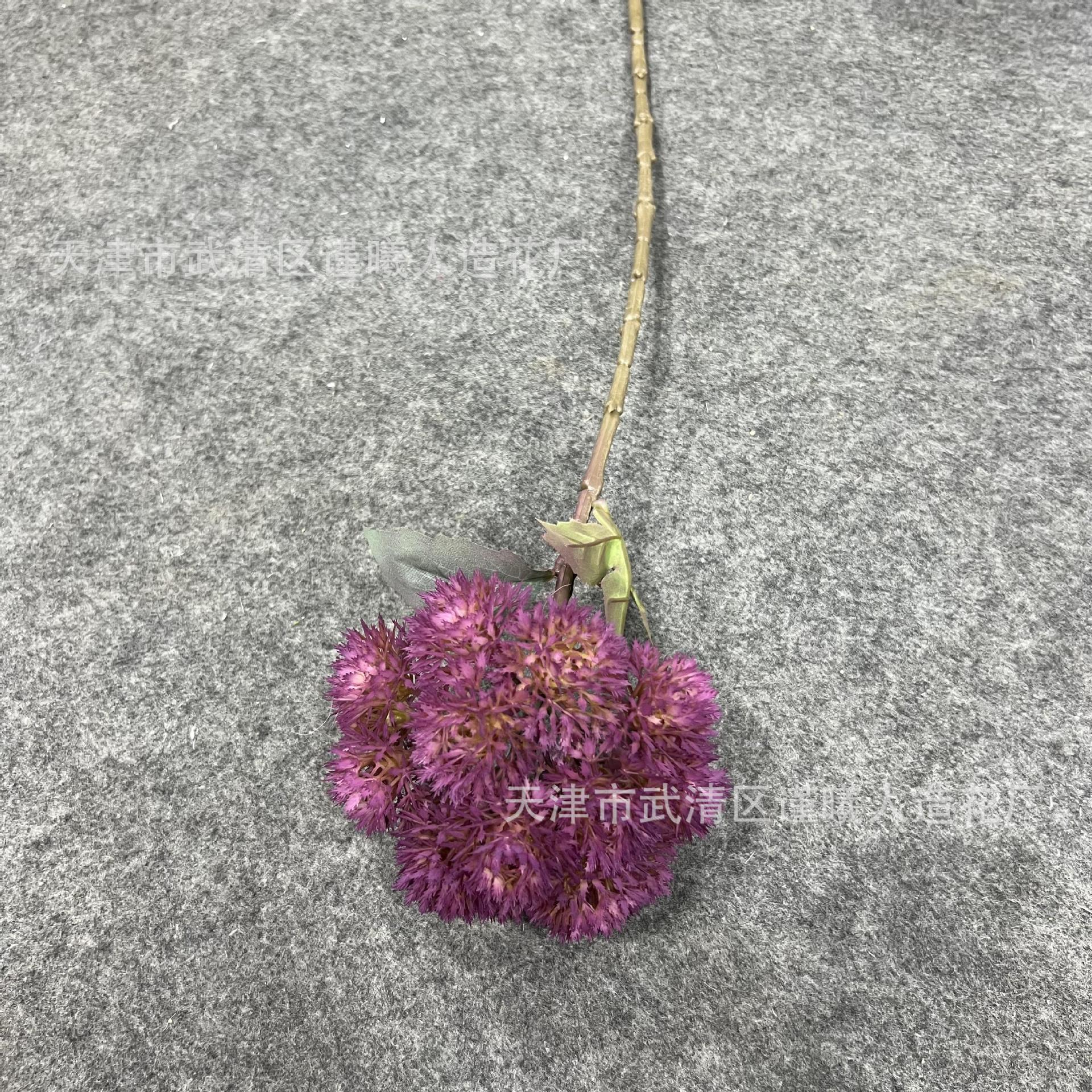 2022_08_27_09_51_IMG_6682