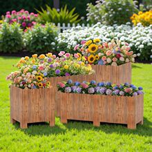 ����ľ�����ش��L���λ����̨�N����̼����ľ�řڷNֲ����⻨��