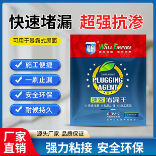 Guangdong Area Manufacturer Leak-Proof King Water-Proof Quick-Drying Cement Quick-Setting Kitchen and Bathroom Leakage Project