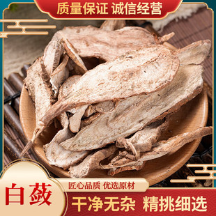 ��ș�İ��` ��Ę Ҋ�[�� ɽ�ع� ��ɽ���� Ұ�t�� ���`��500��