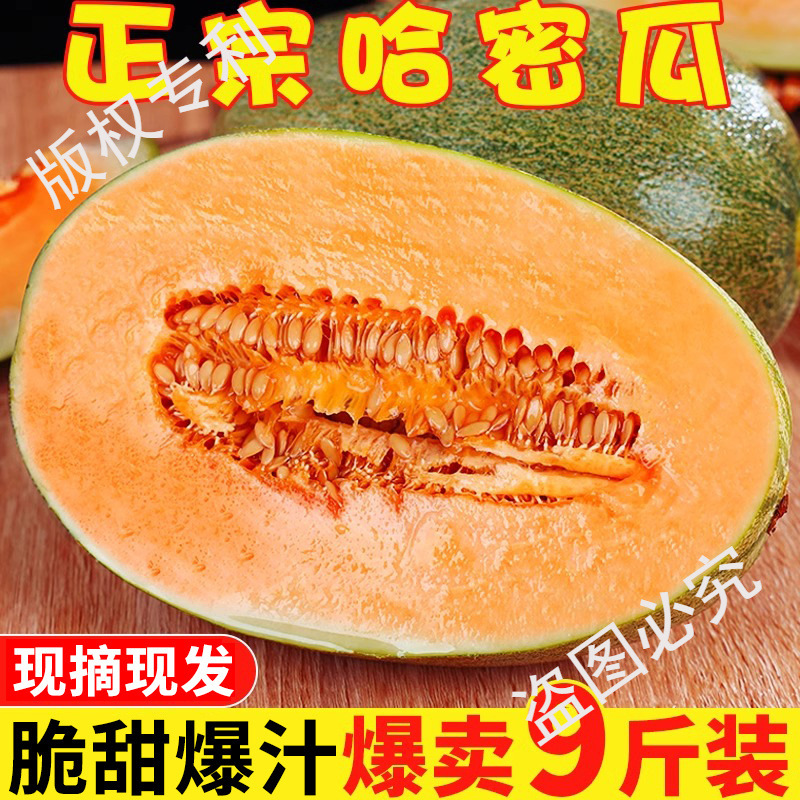 海南正宗哈密瓜9斤当季新鲜水果甜整箱包邮现摘网纹瓜老汉西州蜜