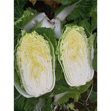 ��ײ��������n�S�����������m�����޲˻��˾G���m�����ͺ��߲���